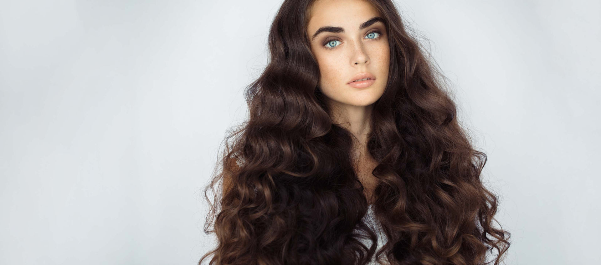 The Highest Quality Extensions on the Market.